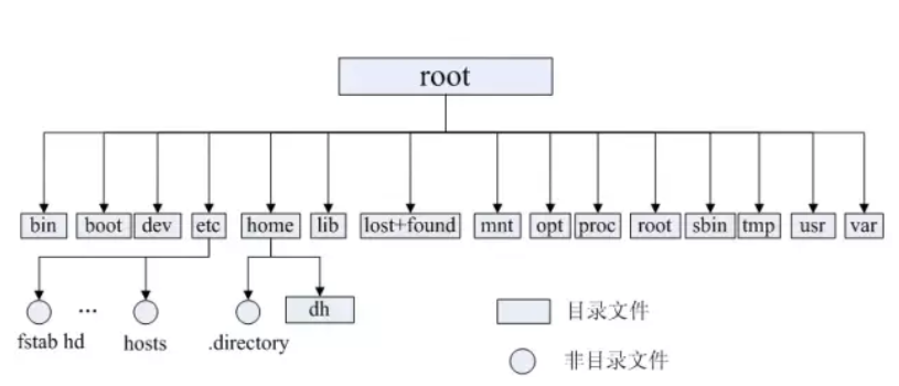 目录结构