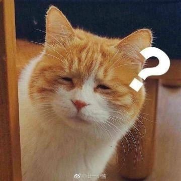 猫咪问号?