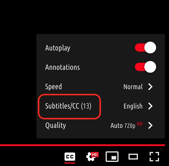 Youtube 中字幕设置