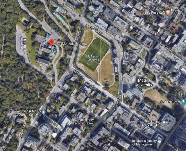 艾尔•尼拉姆的祝福