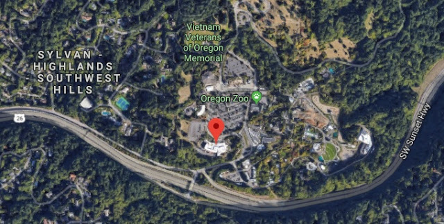 艾尔•尼拉姆的祝福