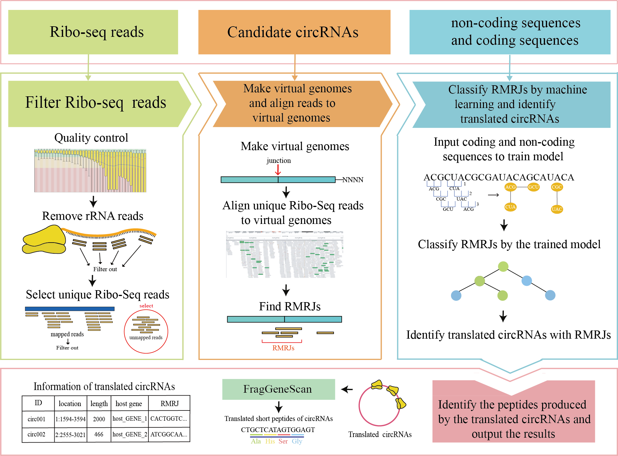 GitHub PSSUN/CircCode A Python3base pipeline for