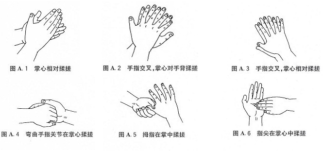 hand hygiene.png