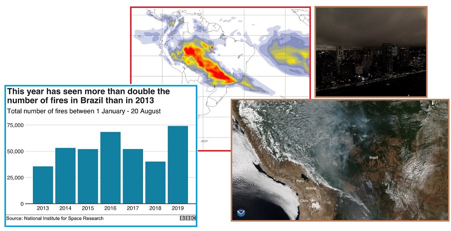 齐塔人之声通讯|伦敦桥行动,露丝•巴德•金斯伯格,亚马逊森林,机器人费多尔