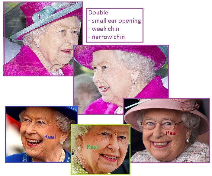 齐塔人之声通讯|伦敦桥行动,露丝•巴德•金斯伯格,亚马逊森林,机器人费多尔