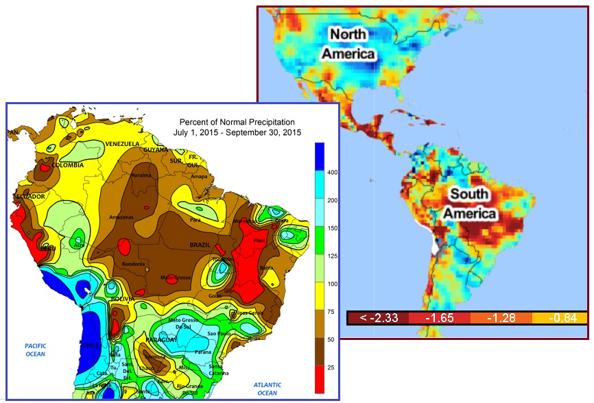 齐塔人之声通讯|伦敦桥行动,露丝•巴德•金斯伯格,亚马逊森林,机器人费多尔
