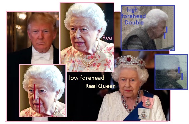 齐塔人之声通讯|伦敦桥行动,露丝•巴德•金斯伯格,亚马逊森林,机器人费多尔