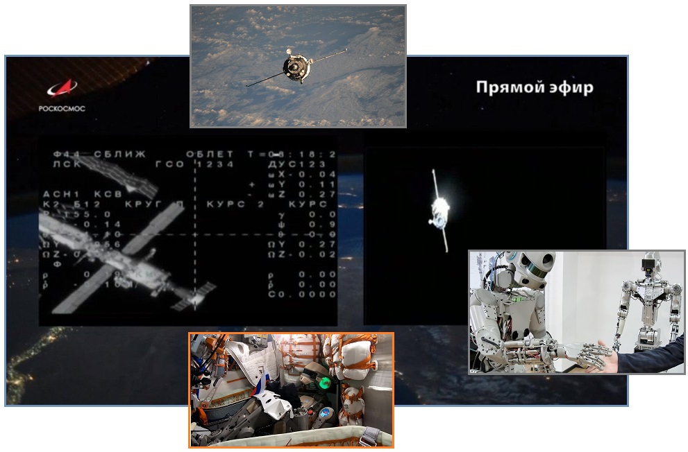 齐塔人之声通讯|伦敦桥行动,露丝•巴德•金斯伯格,亚马逊森林,机器人费多尔