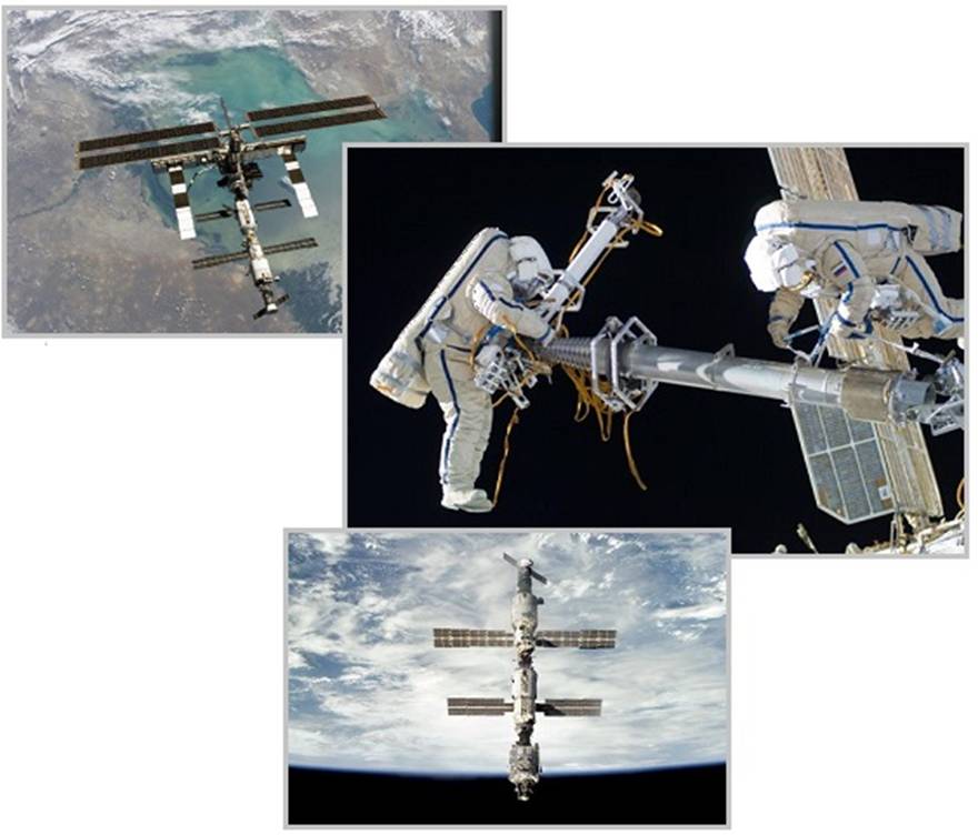 齐塔人之声通讯|伦敦桥行动,露丝•巴德•金斯伯格,亚马逊森林,机器人费多尔