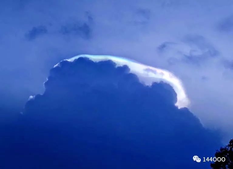 武装介入和特种警戒