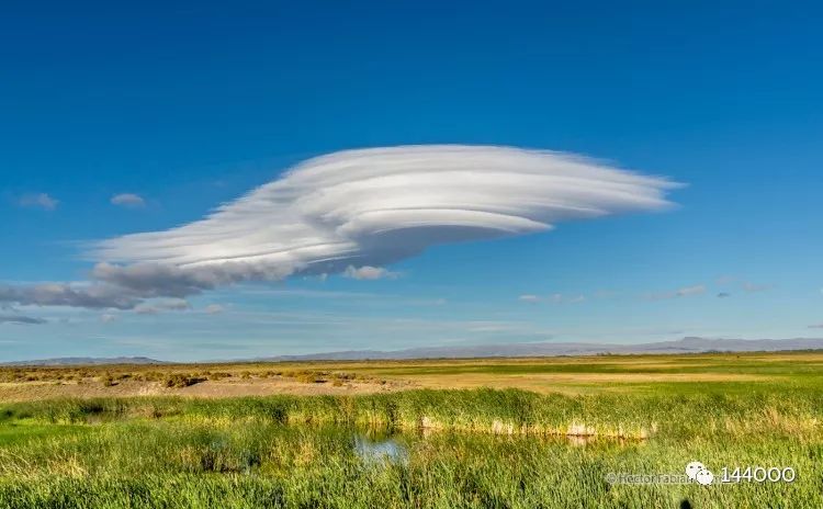 武装介入和特种警戒