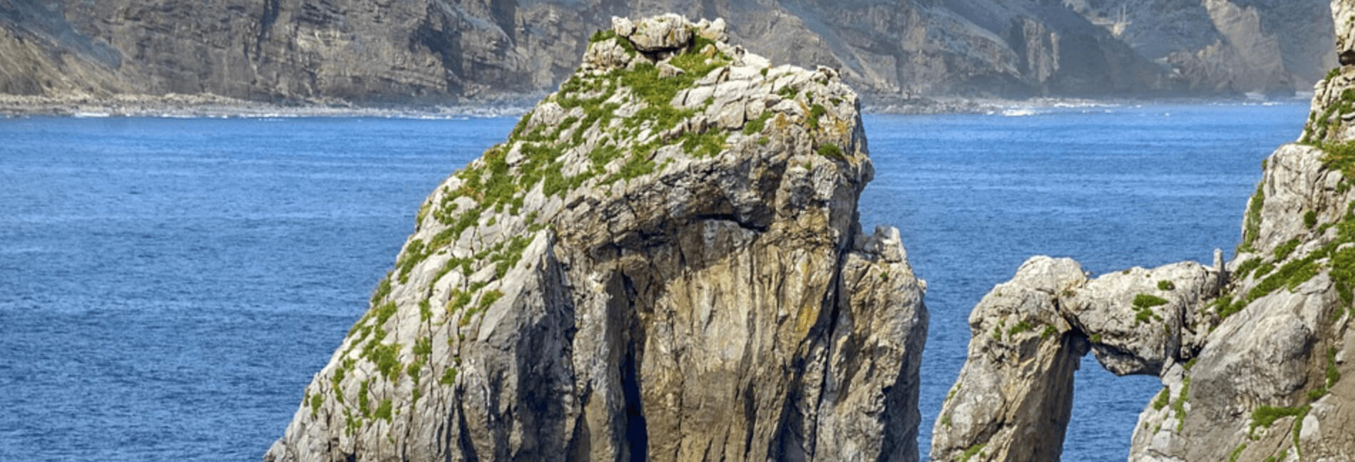 第七周线下活动