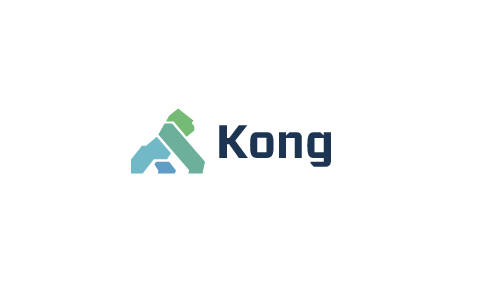 kong调研