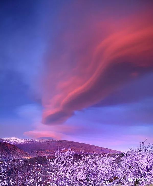 【事件】与星光教团