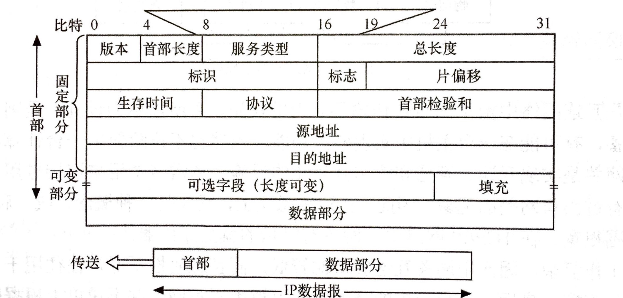 IP协议结构