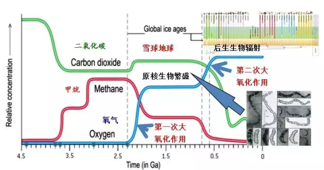 地质年代与大气中氧气、二氧化碳和甲烷浓度变化