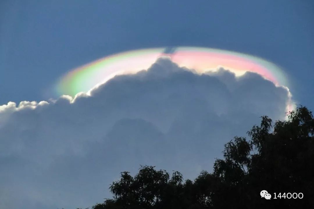 抵抗军除障报告2