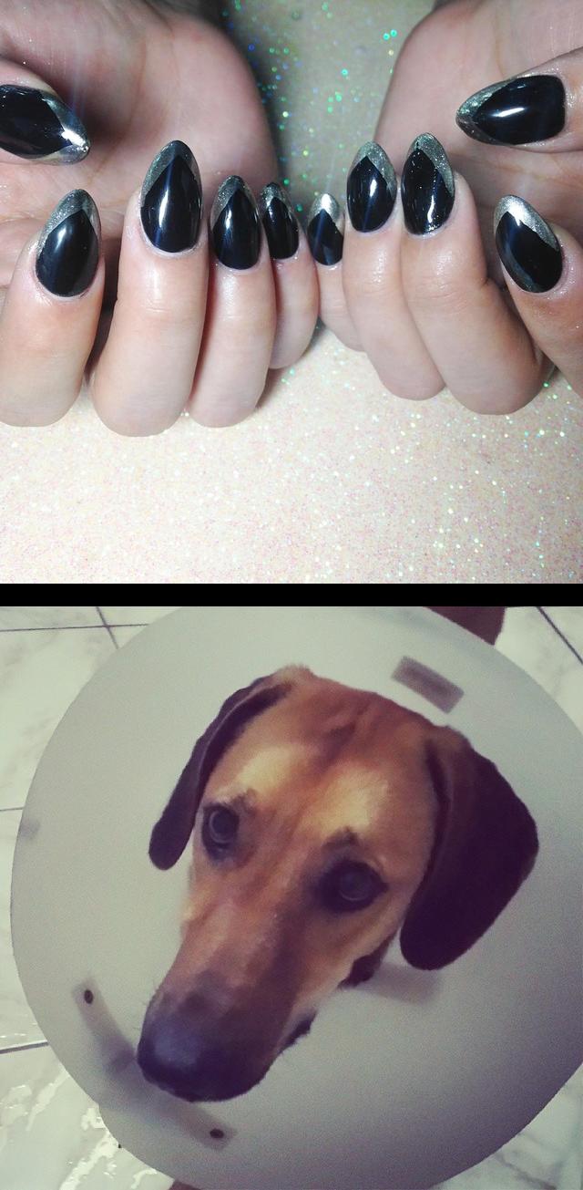 incoco nail strips,gel nail extensions,Today nails con pinta chrome!!! Aiii gente que dde menina que fez cirurgia e ttoda triste , lara , triste , dodoi , lovedogs , dogs , dog , pets  , petsofinstagram , instadog , pet , petstagram , animals , instadogs  