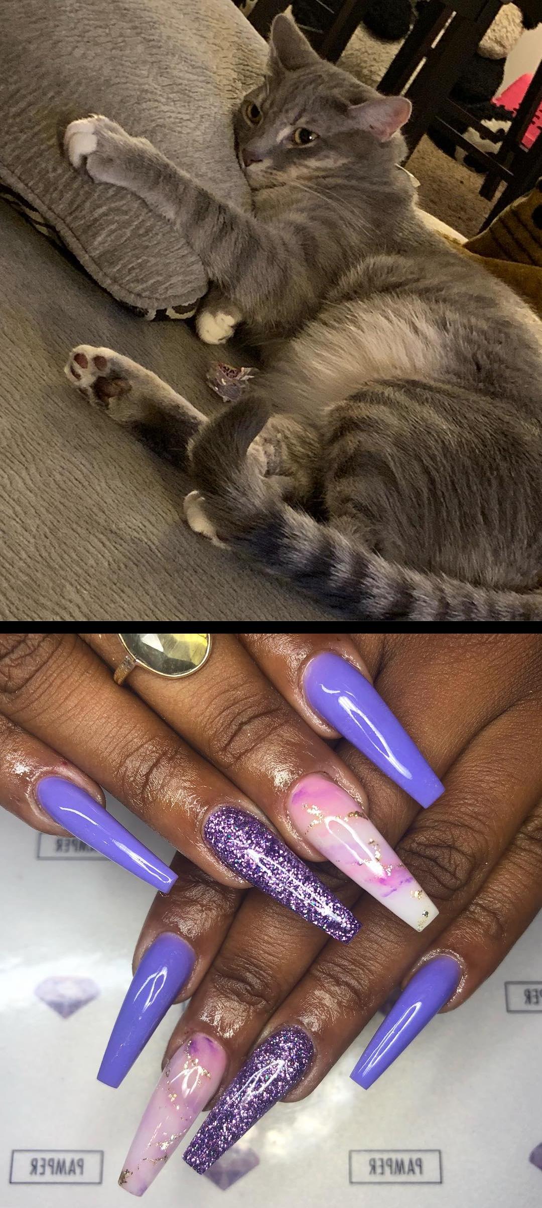 prom nails,funny bunny opi,Mooooooodd lol say hey to Aries he super chilling Sculpted Skinny Coffin Nails | Purple Marble | Purple Encapsulated Glitter. . . your next Full Set, Fill, or Pedi service at pampernailgallery.com Now open in Fremont, California!. Click nowselect a service, and tap my name to book an appointment with me. DM me  if you have any questions . . Tags: , getpamper , pampernailgallery , nails , oaklandnails , sanjosenails , sfnails , bayareanails , bayareanailtech , sculptednails , nailforms , acrylicnails , nails , nailsonpoint , nailporn , swarovskinails , purplenails , glitternails , amethystnails , whitenails , longnails , coffinnails  