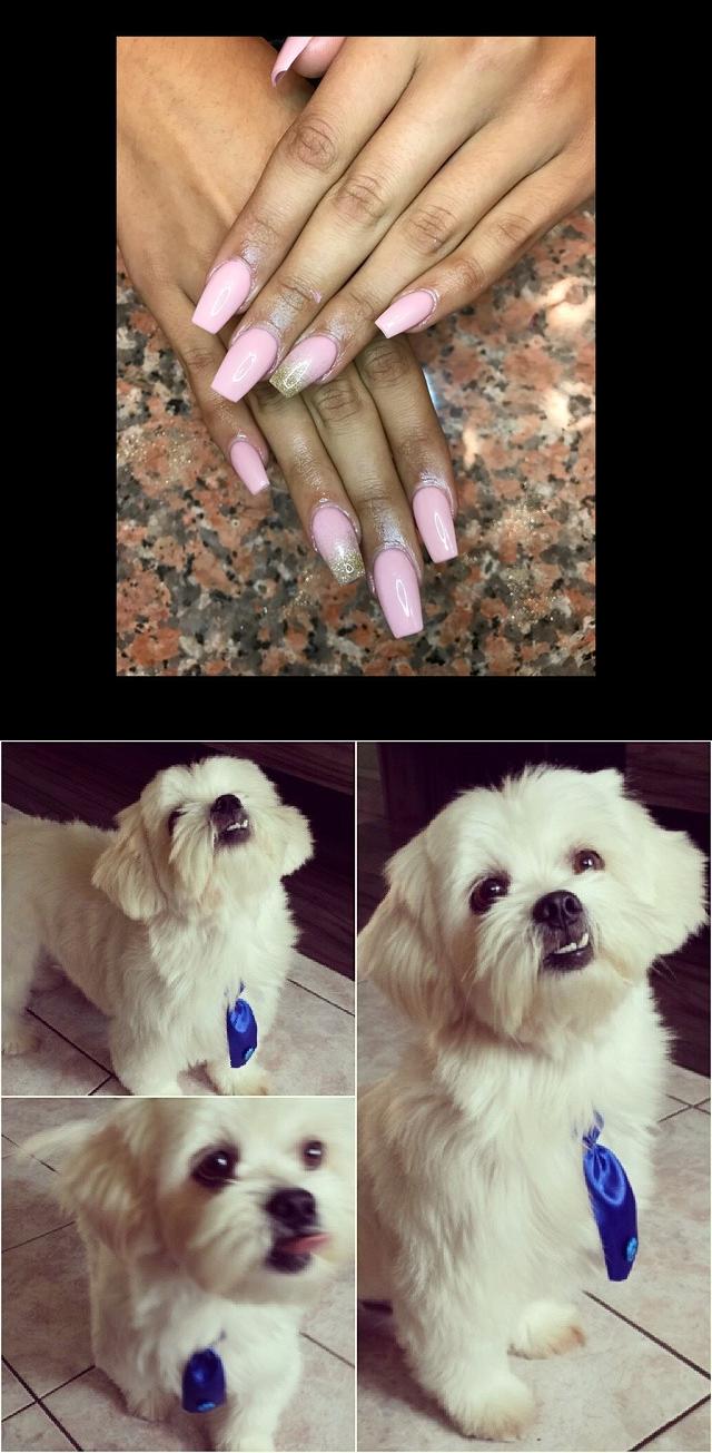 nail glue,q nails,Pink Wide Coffin Nails w Gold Glitter Ombr Aiii gente como eu sou liiindo! , nick  