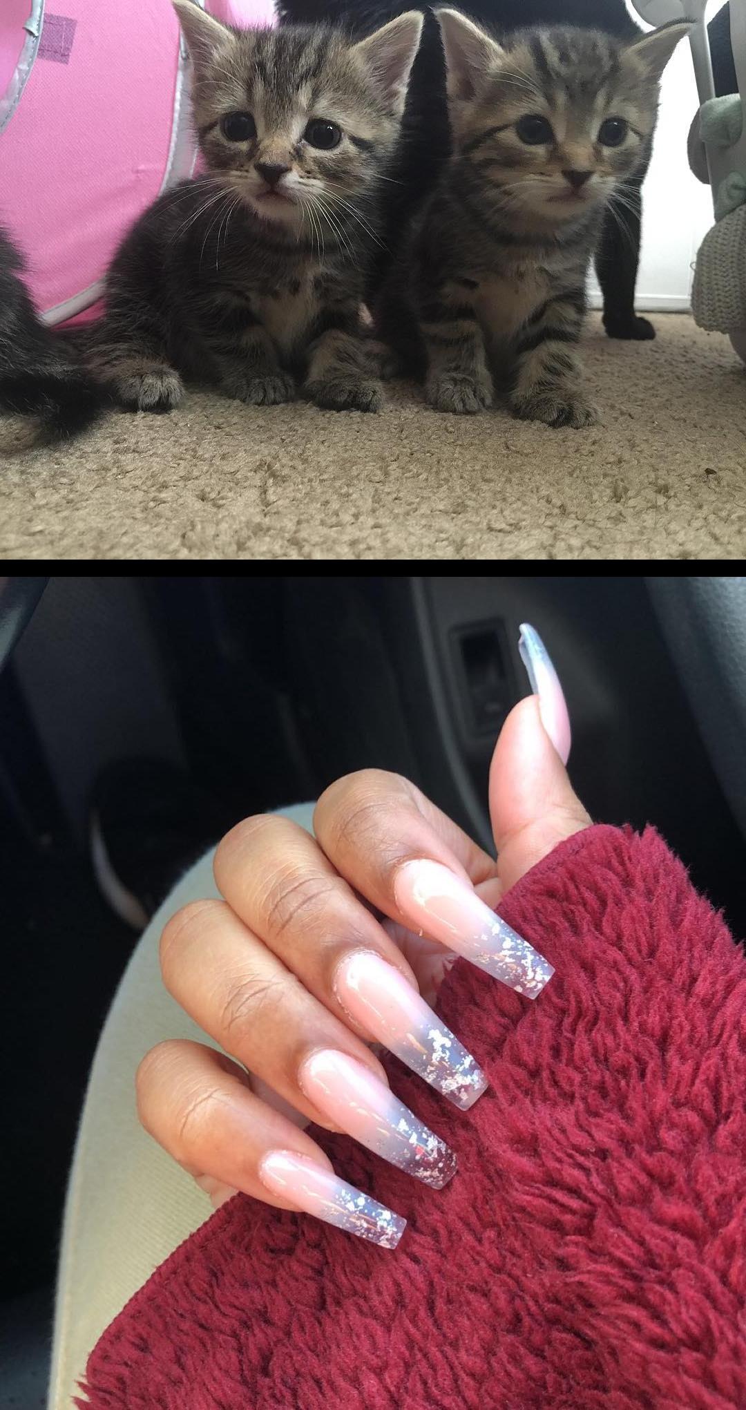 color club,dip manicure,My babies are getting so big kitten__heaven_ Comment some ideas of how I can make my nail room cute bc i donhave any :( 