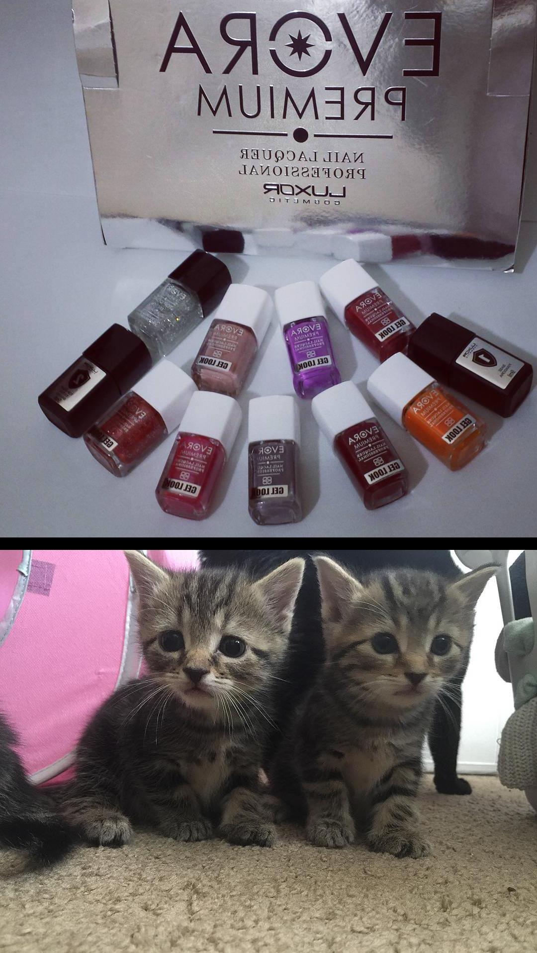 pink glitter nails,prom nails,Comecei meu dia babando nessa coleMARA da luxoroficial Scores lindas! E a linha , GelLook Vai rolar muitos , Swatches pra vcs!  My babies are getting so big kitten__heaven_ 
