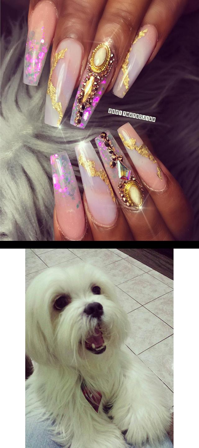 nail supply store,black and white nails,Olhaa squem me recebeu todo feliz hoje! , nick , cute , pet , lhasaapso , dogs , dogslovers , instadog , instadogs , dog , animals , todofeliz , petstagram , petsofinstagram  morning lovely ladies , nailart , jellynails , nailsofinstagram , nails, nailpro , nailmagazine , naildesigns , nailporn , naiswag , nailart , naillife , nailsonfleek , nailpro , nailtech , rvanails , 804nails , richmond , glitternails , naillover , nailsbyamy , nailaddict , nailart , nailclub , notpolish , nailartdesigns , stilettonails , coffinnails , omrenails , rainbownails , nails , nailmaster , nailfie , naildesigns , nailsoftheday 