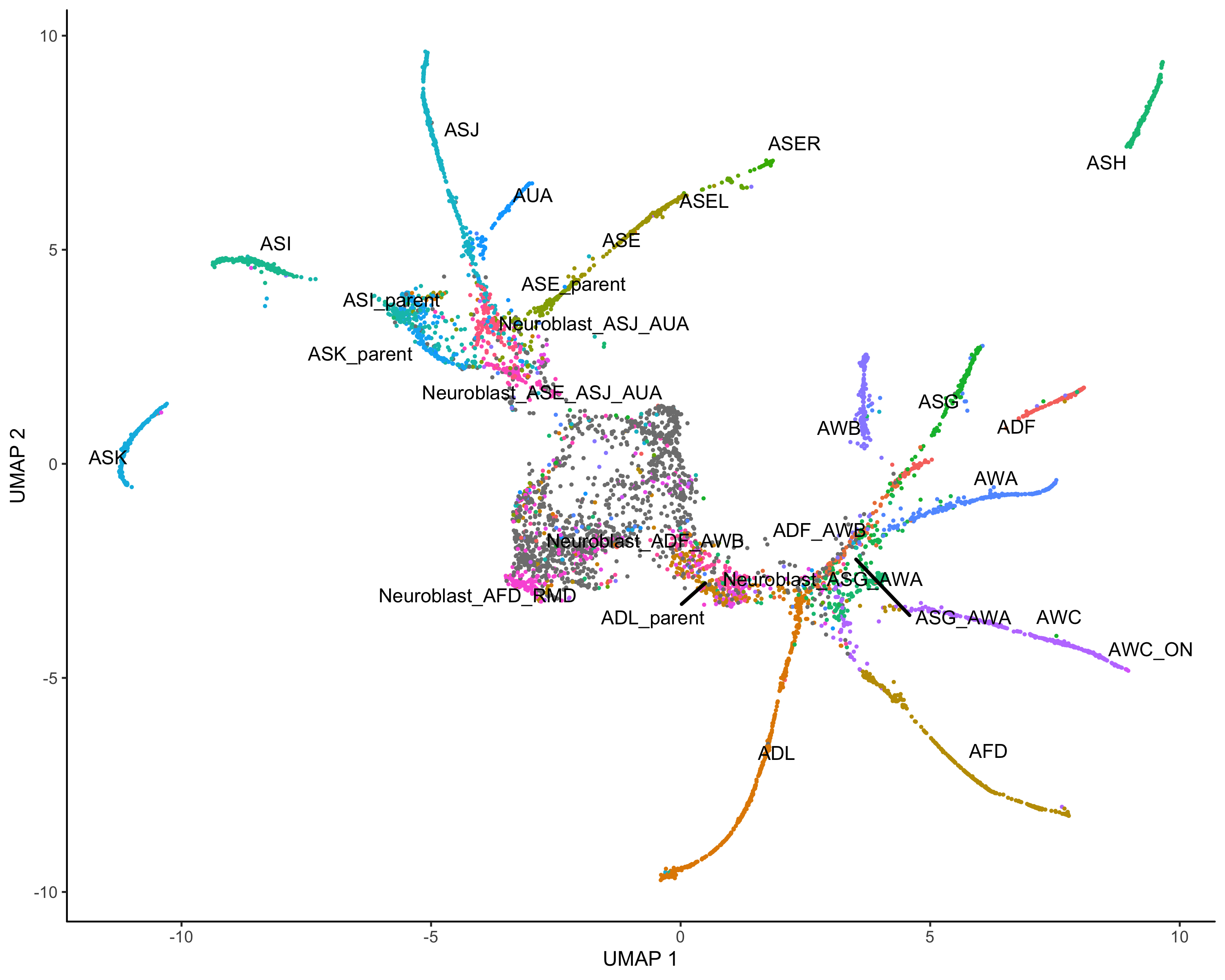 embryo_umap_packer_cell_type.png