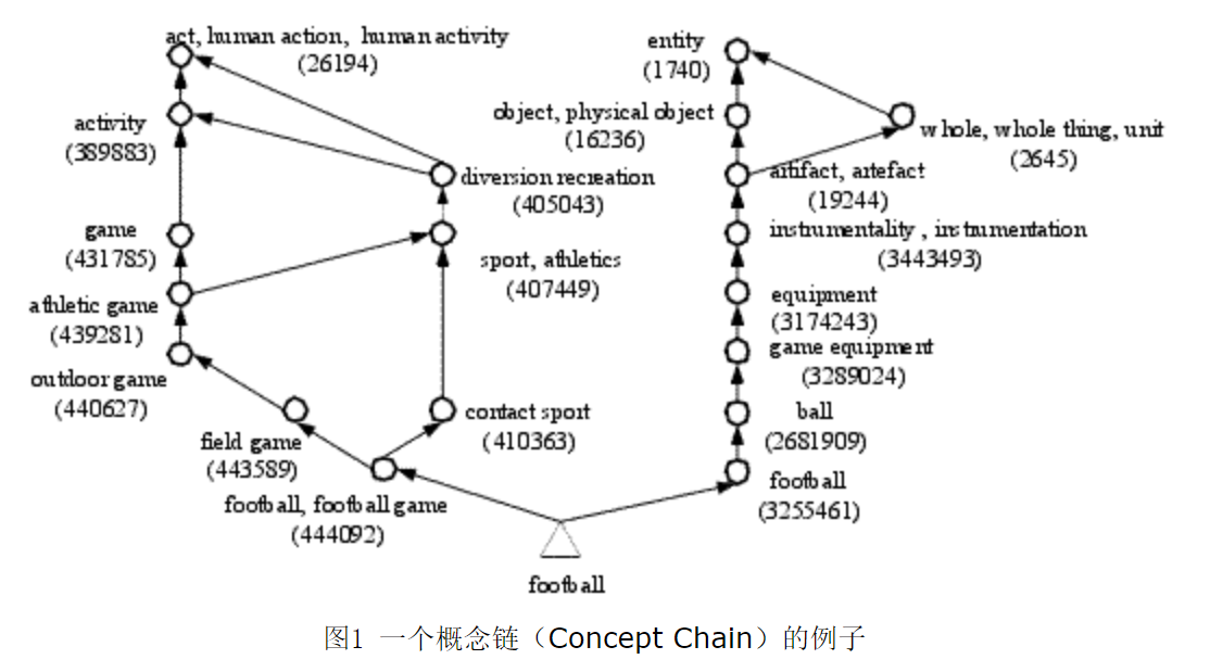 概念链，来自“WordNet简介 - jcsu - 博客园”