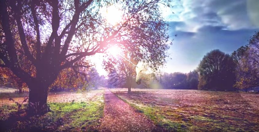 144000|神圣女神临在及女神力量