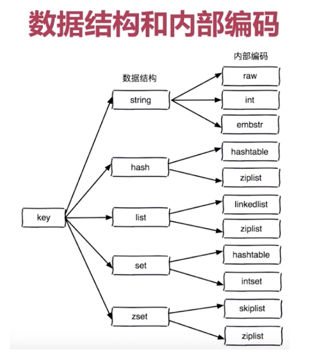 数据结构与编码