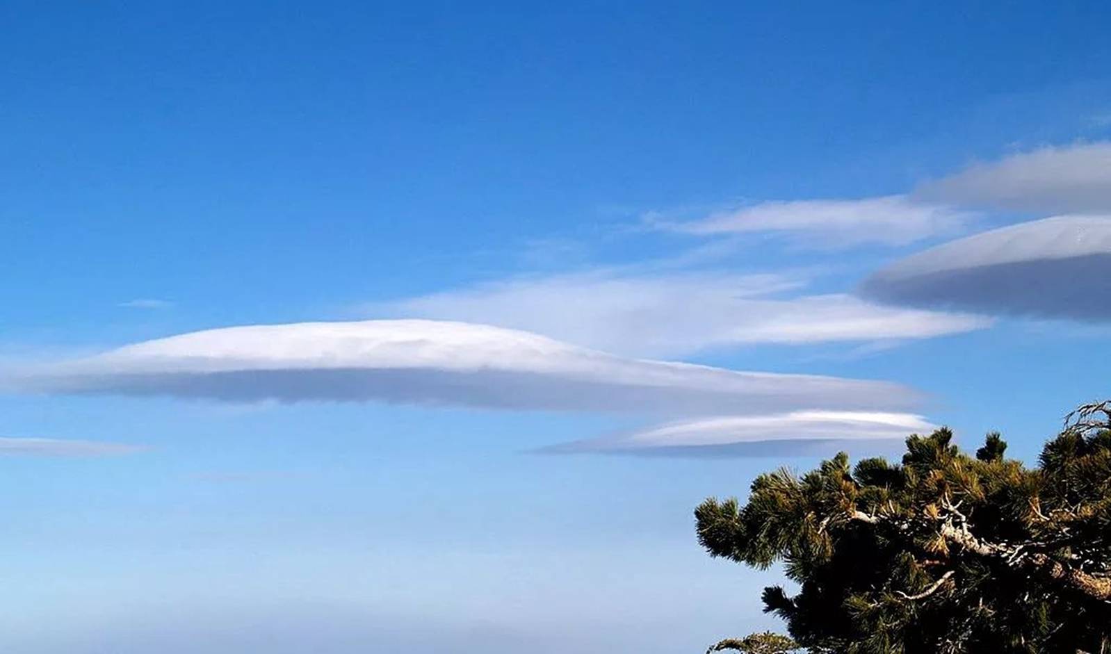 144000|红龙金融计划