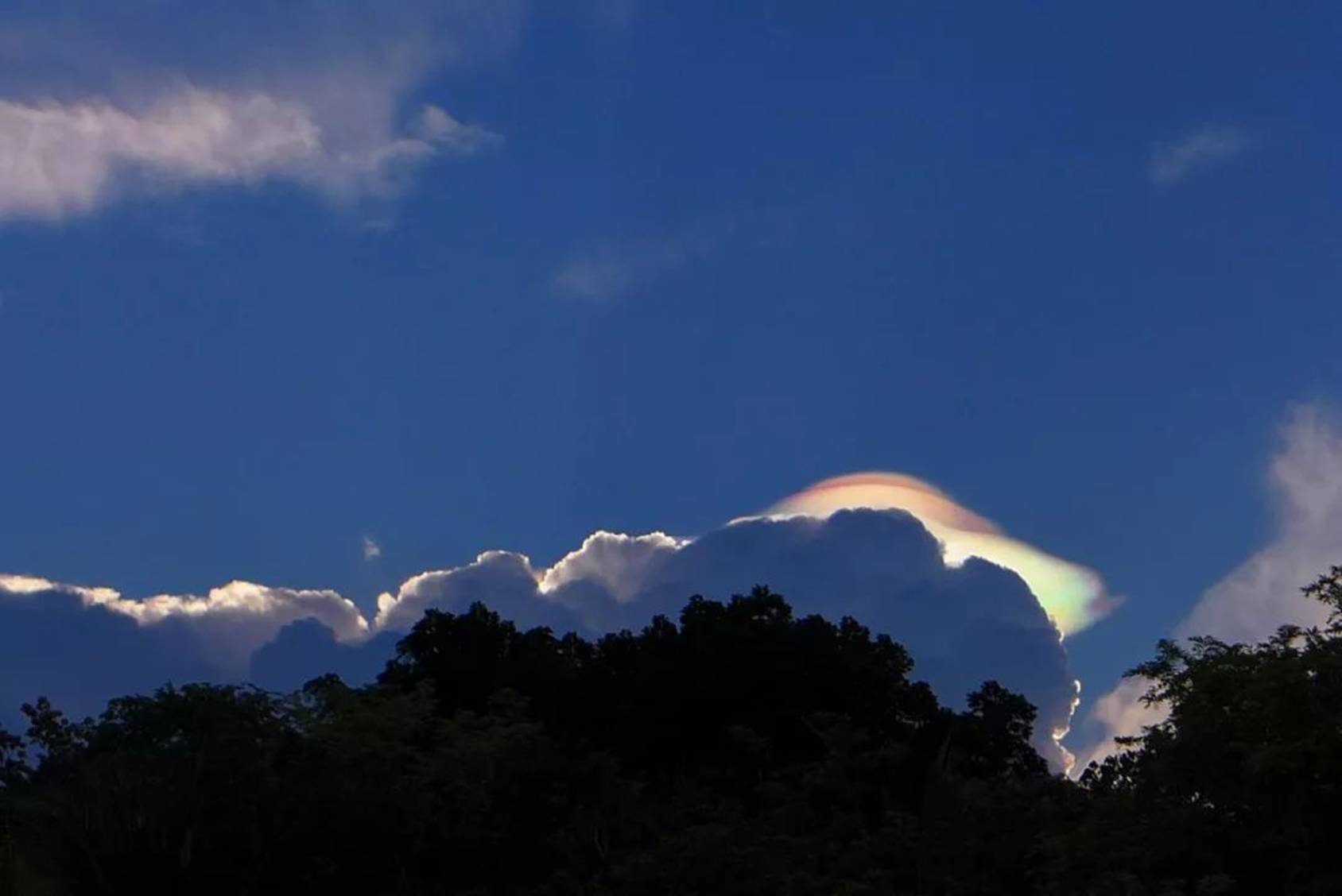 144000|抵抗军在地表