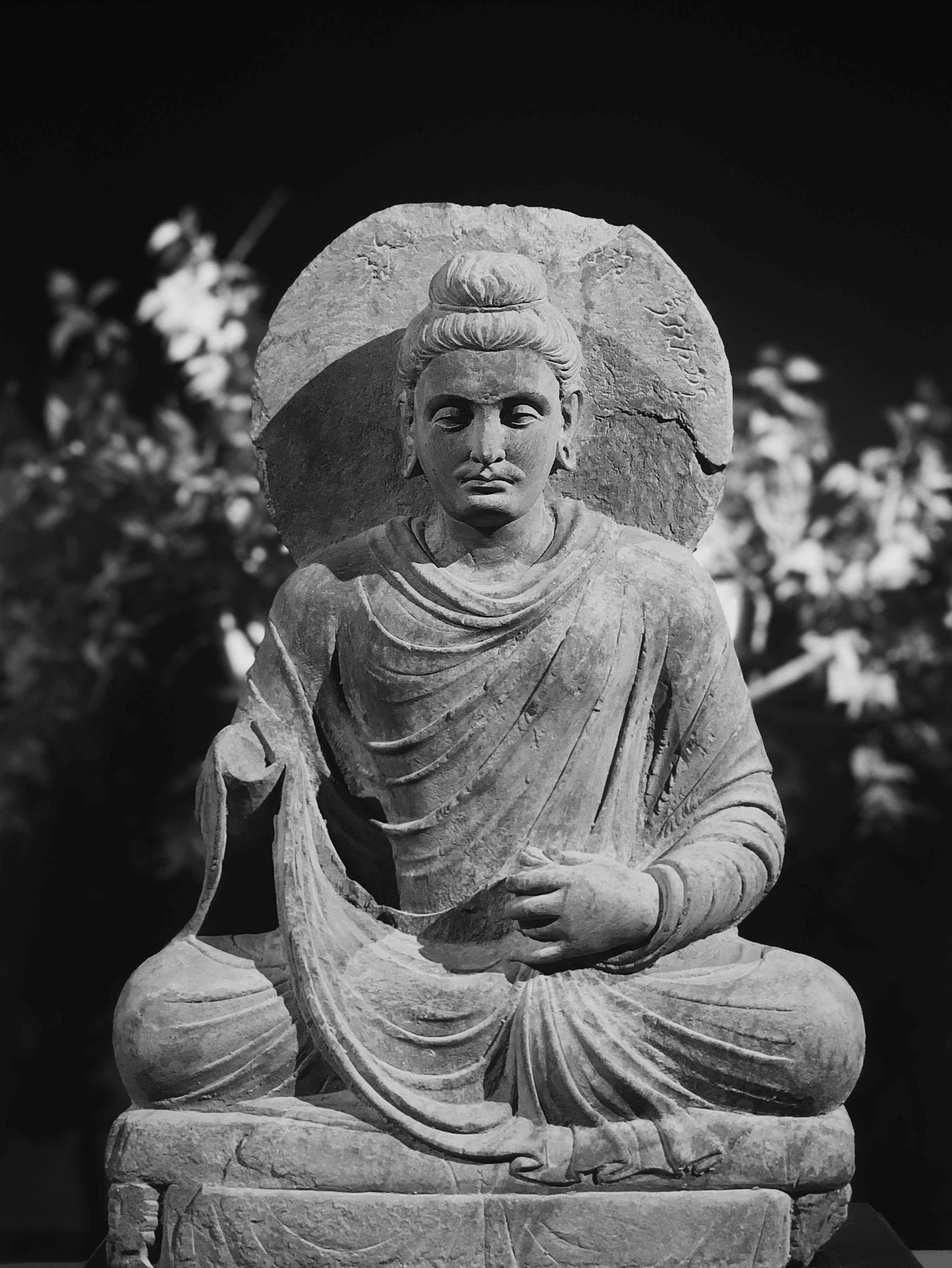 图一