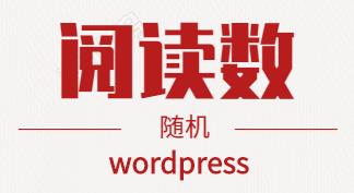 WordPress 插件wp-postviews 随机显示浏览数-VPS SO