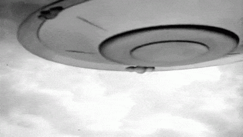 FM144|新年夜的更新(2019年12月31日)