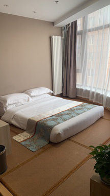 Japanese Style Double Room