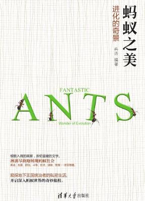 蚂蚁之美:进化的奇景 蚂蚁之美:进化的奇景
