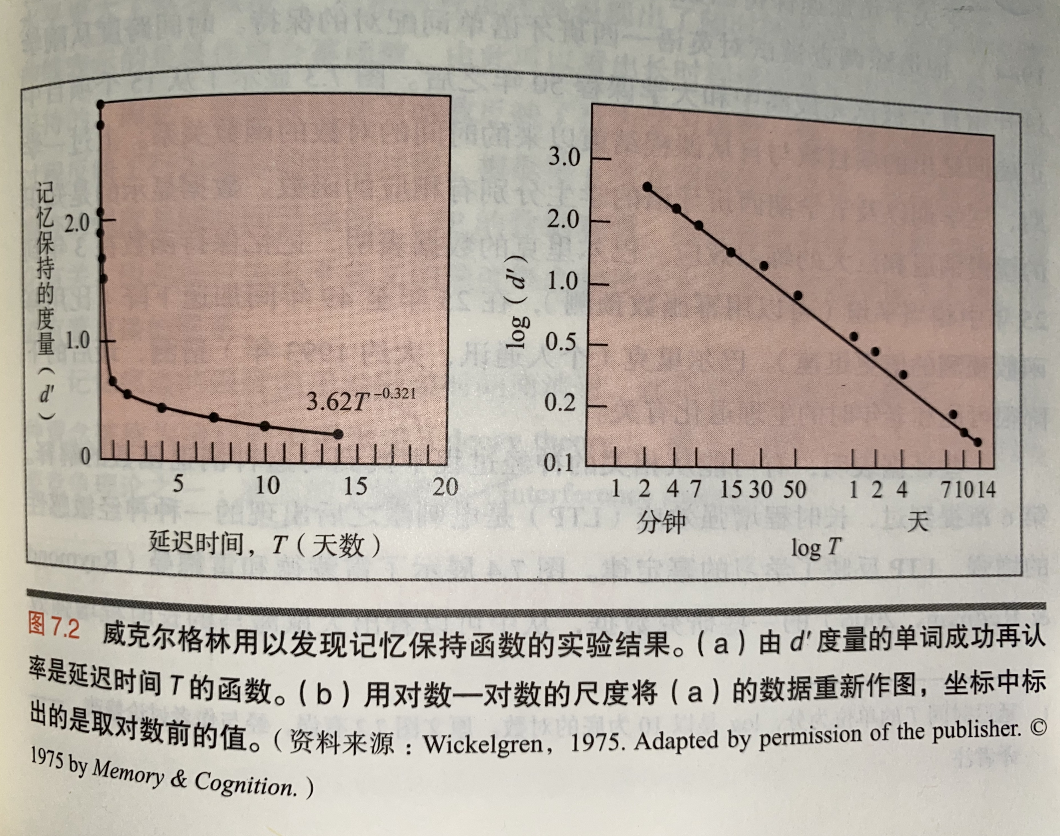 遗忘的幂定律_20200130.jpg