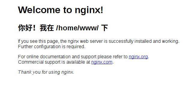 nginx-home.png