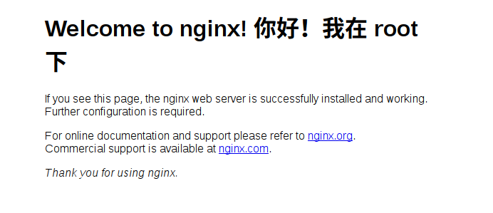 nginx-root.png