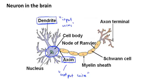章节9 神经网络学习 - 图7