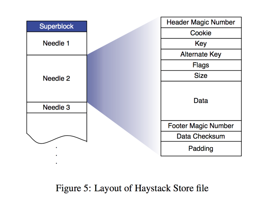 layout of haystack store file
