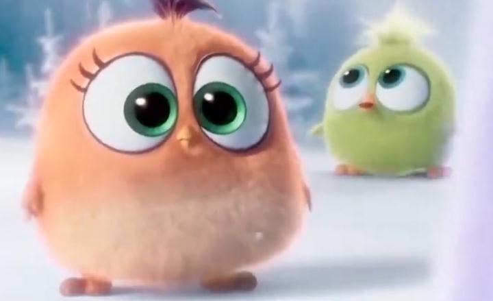 又蹦又跳的小鸡