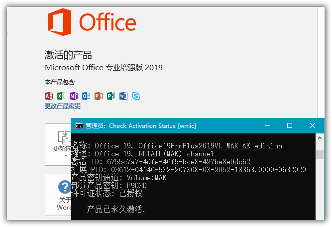 微软Office 专业增强版 2019 批量许可企业版