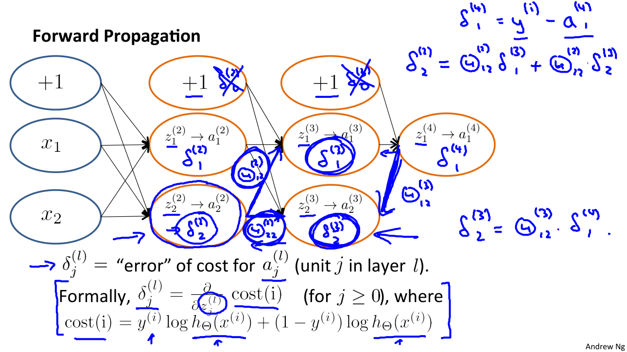 andrew ng backpropagation