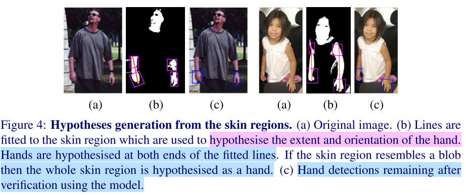 Hypotheses generation from the skin regions.