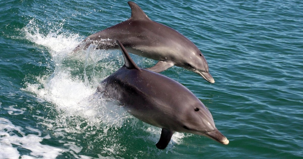 FM 144|形势更新(2020年4月3日)