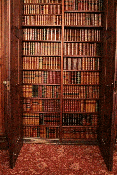 FM 144|形势更新(2020年4月3日)