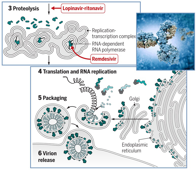 齐塔人之声通讯第706期|2020年4月12日 盖茨走了,皮尔布赖特研究所,盖茨辞去微软董事会职务,新型冠状病毒肺炎预测,峰值分析,南极洲的邪恶